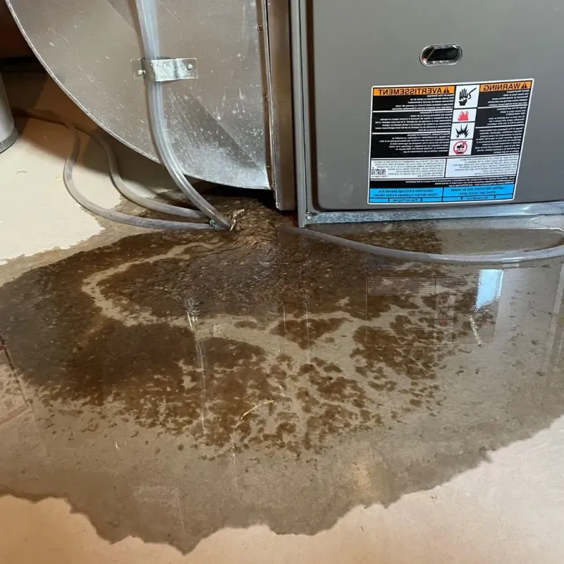 Pipe Burst and Leak Restoration in Stewart County, TN