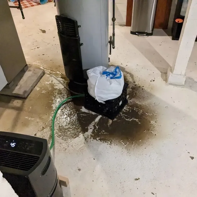 Sewage Backup Cleanup Service in Stewart County, TN